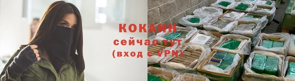 PSILOCYBIN Наволоки
